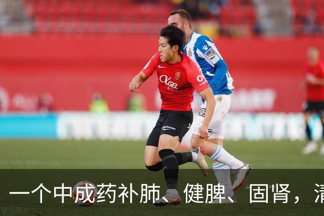 一个中成药补肺、健脾、固肾，清除陈年老痰、调补身体之虚