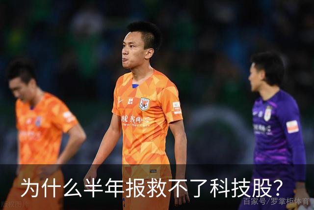 为什么半年报救不了科技股？